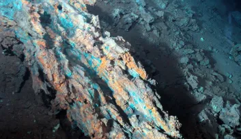 IFREMER (2007). Morceaux de sulfures du site hydrothermal Logatchev. Ifremer. https://image.ifremer.fr/data/00556/66816/